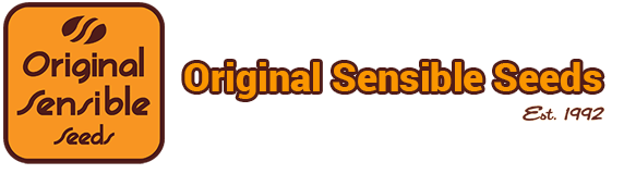 Original Sensible at